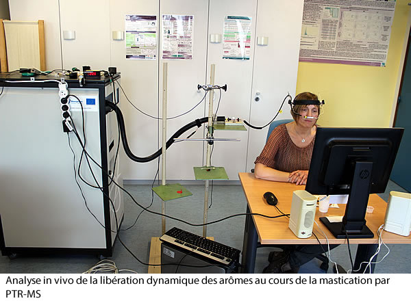 Analyse in vivo de la libération dynamique des arômes au cours de la mastication par PTR-MS