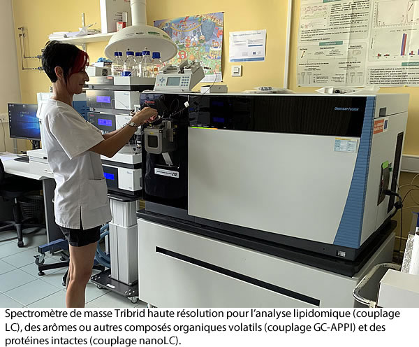 Spectromètre de masse Tribrid haute résolution pour l’analyse lipidomique (couplage LC), des arômes ou autres composés organiques volatils (couplage GC-APPI) et des protéines intactes (couplage nanoLC).