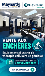 ENCHERES MAYNARDS